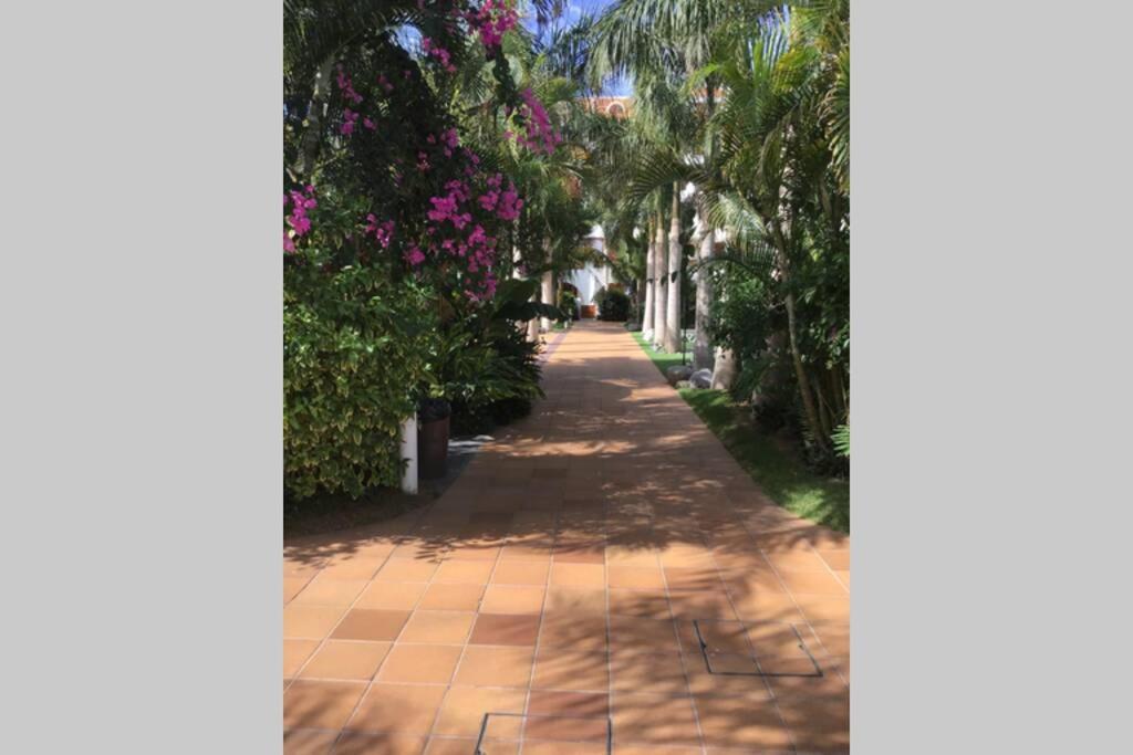 Apartamento Apartamento frente al mar! Playa de las Américas Exterior foto